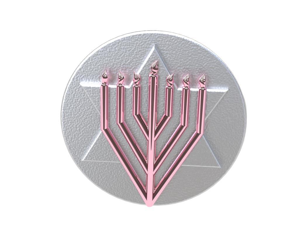 For Sale:  14 Karat Pink and Sterling Silver Judaica Art Signet Ring 2