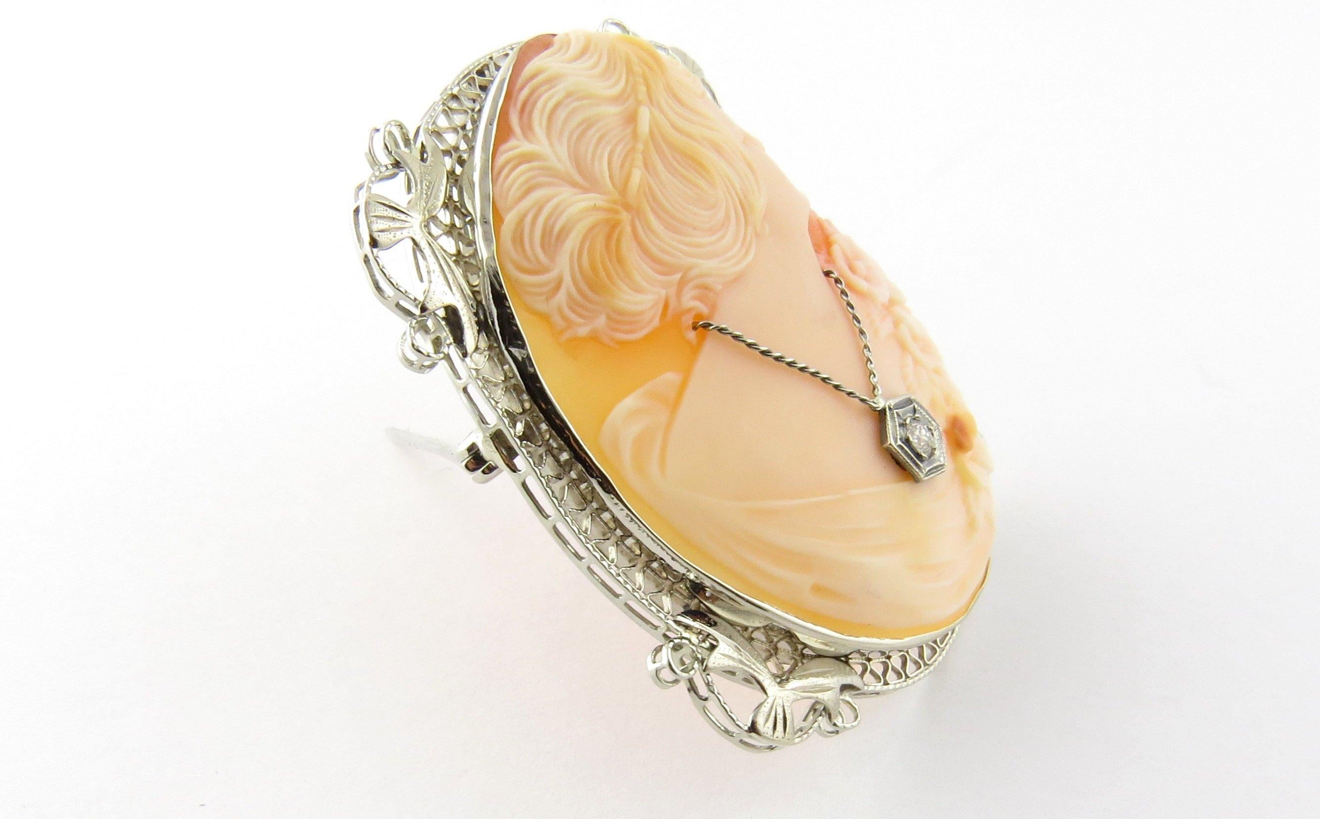 Vintage 14 Karat White Gold and Diamond Cameo Brooch/Pendant- 
These stunning cameo features a lovely lady in profile accented with one European cut diamond and framed in delicate white gold filigree. 
Approximate total diamond weight: .03 ct.