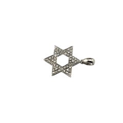 14 Karat White Gold and Diamond Star of David Pendant #21523