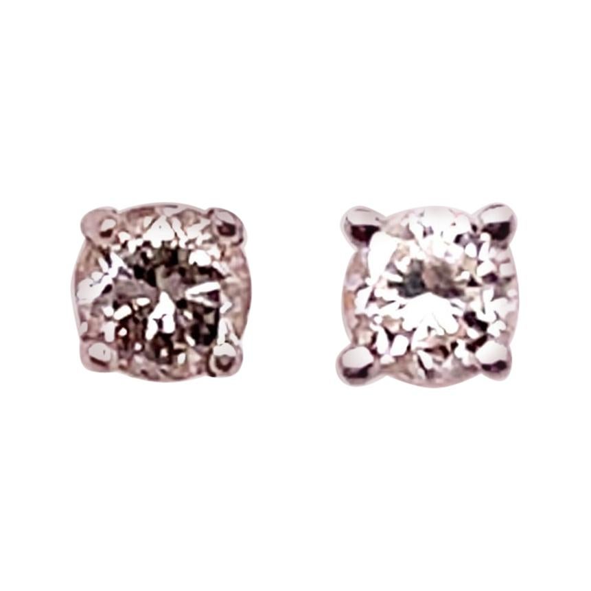 14 Karat White Gold and Round Diamond Stud Earrings Screw Back For Sale