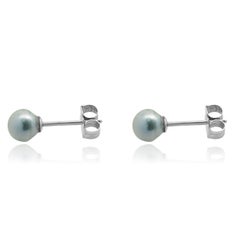 14 Karat White Gold Blue Akoya Pearl Earrings