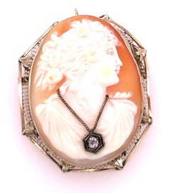 14 Karat White Gold Cameo Brooch and Pendant Woman Profile with Diamond Necklace