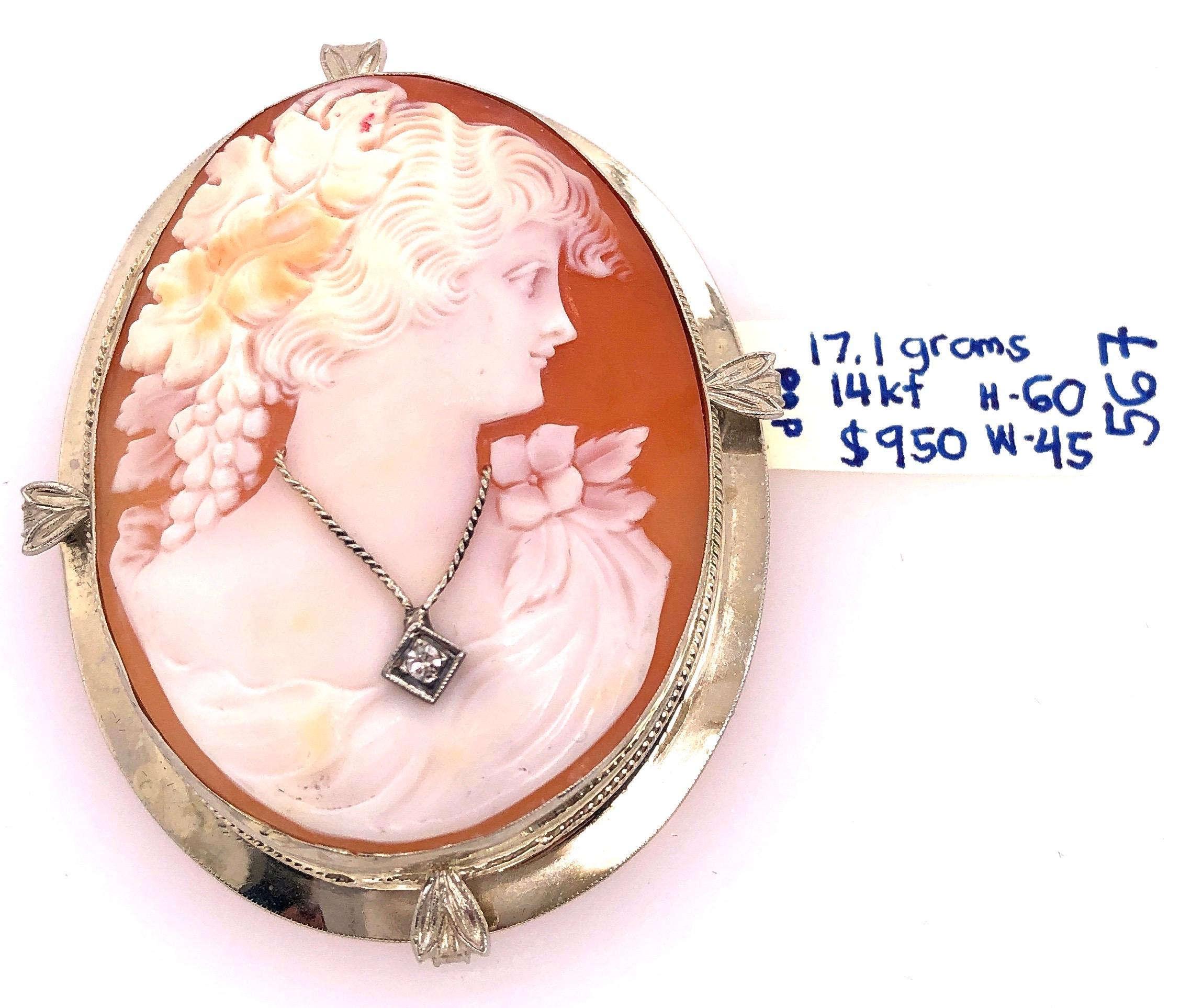 14 Karat White Gold Cameo Brooch and Pendant Woman Profile With Diamond Necklace
17.1 grams total weight.
Height: 60 mm
Width: 45 mm