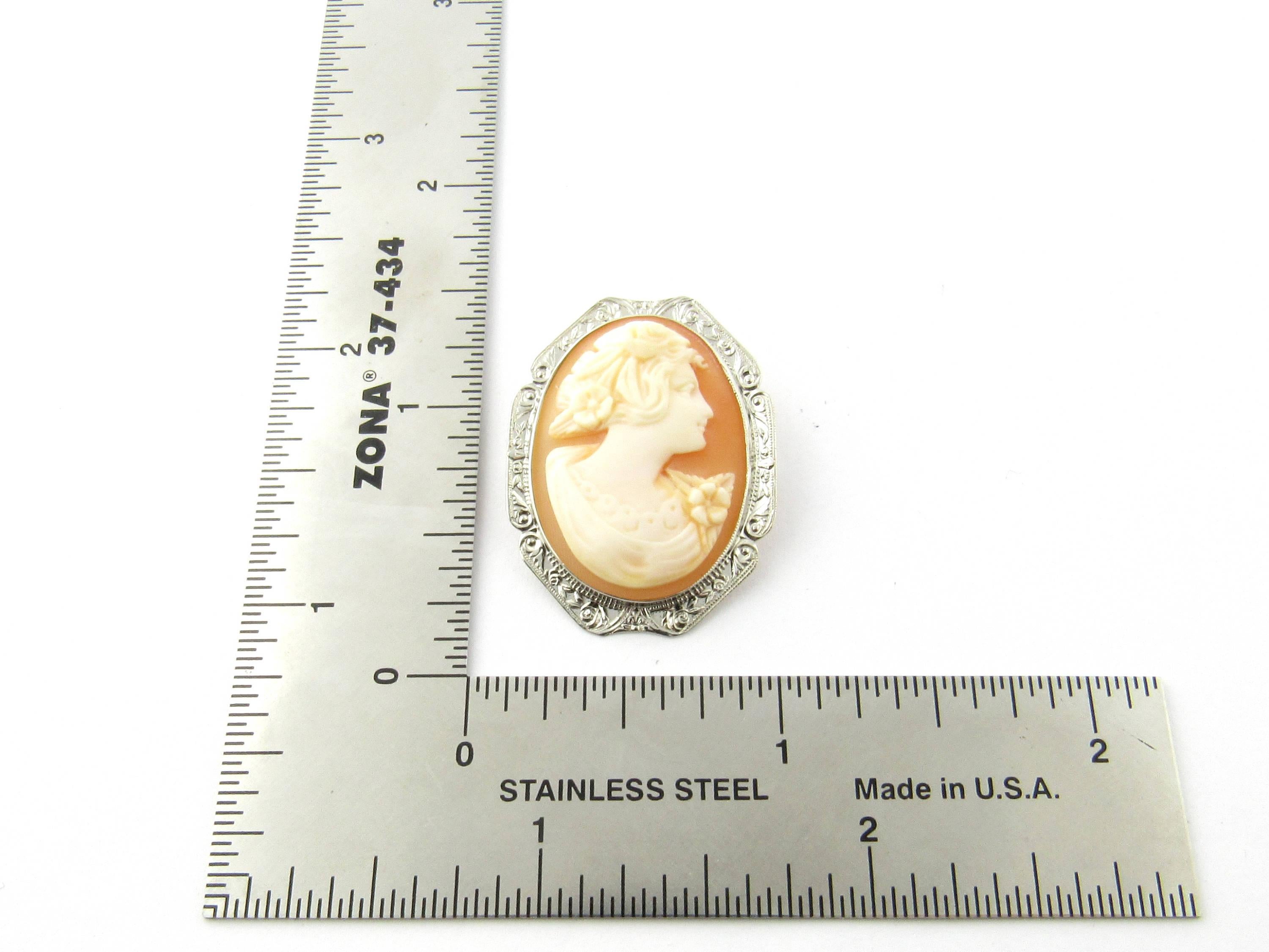 14 Karat White Gold Cameo Brooch For Sale 1