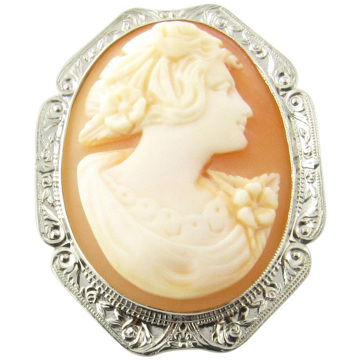 14 Karat White Gold Cameo Brooch For Sale