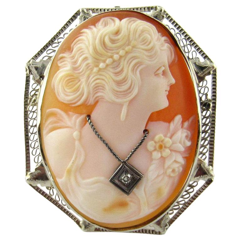14 Karat White Gold Cameo Brooch Or Pendant