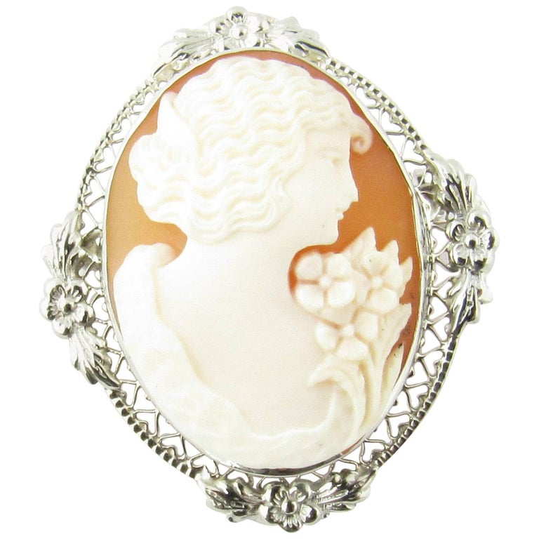 14 Karat White Gold Cameo Brooch or Pendant For Sale at 1stdibs