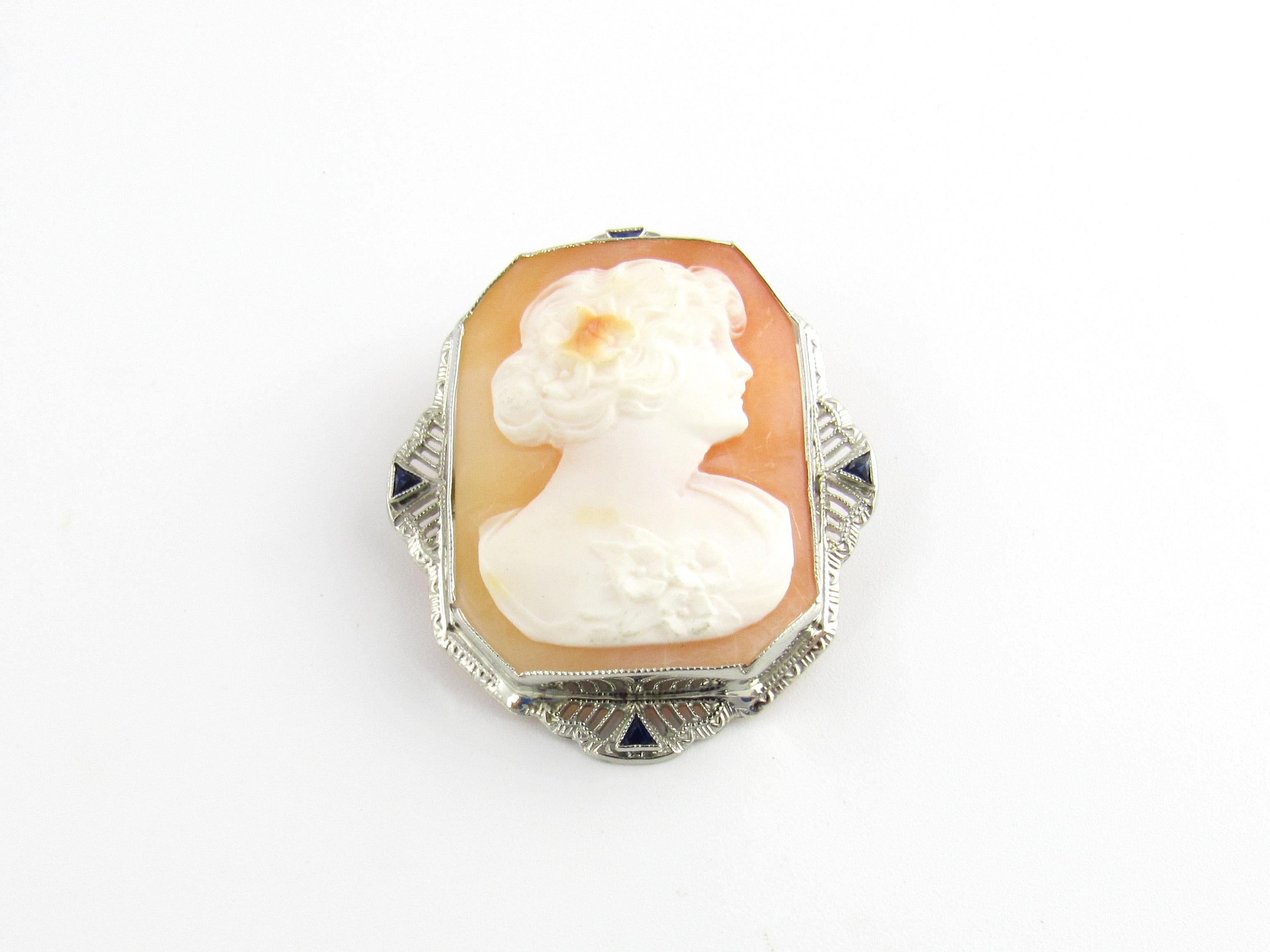 Vintage 14 Karat White Gold Cameo Brooch / Pendant

This elegant cameo features a lovely lady in profile framed in exquisite white gold filigree accented with four triangle cut sapphires. Can be worn as a brooch or a pendant.

Size: 38 mm x 33