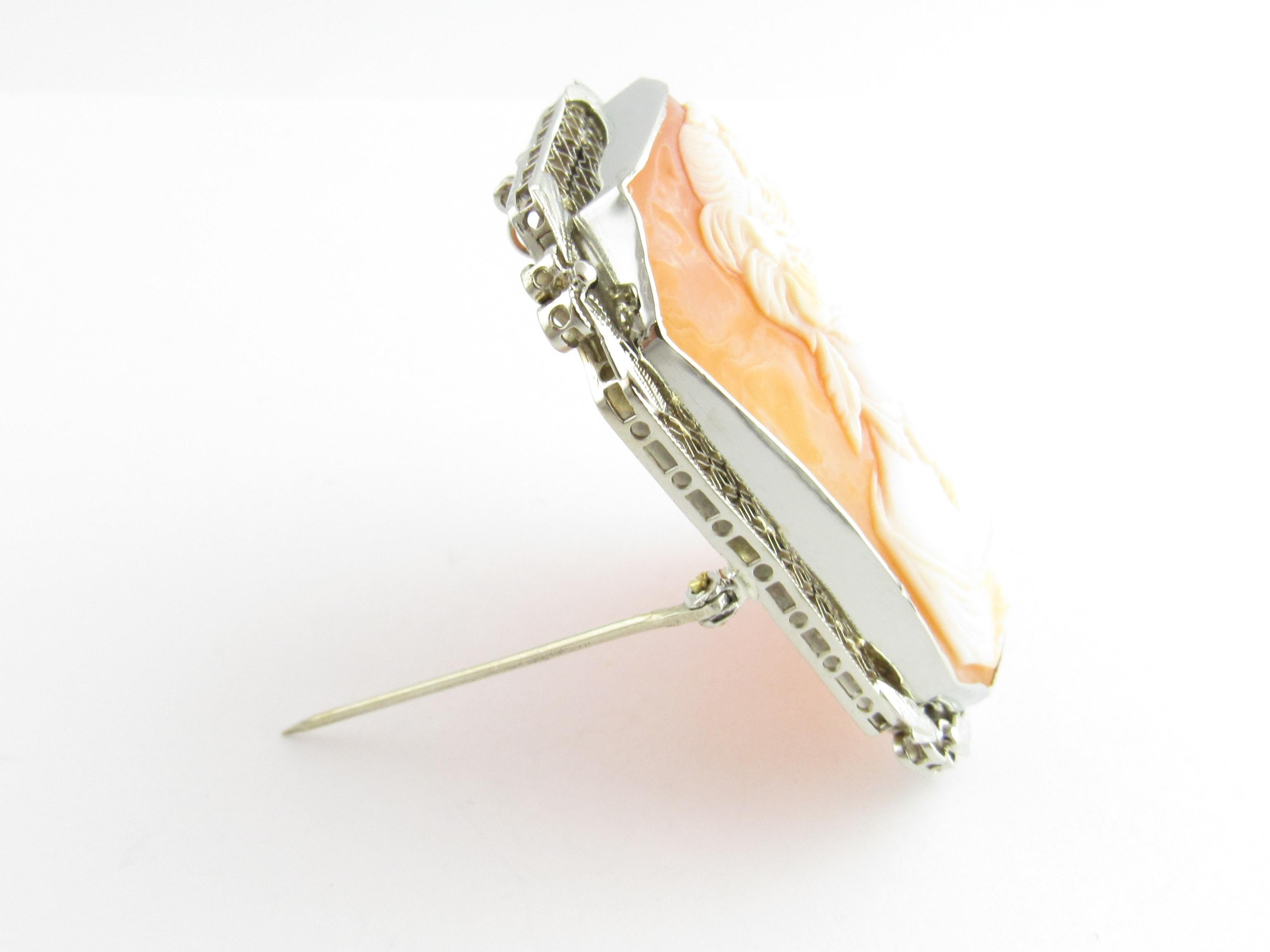 Women's 14 Karat White Gold Cameo Brooch or Pendant For Sale
