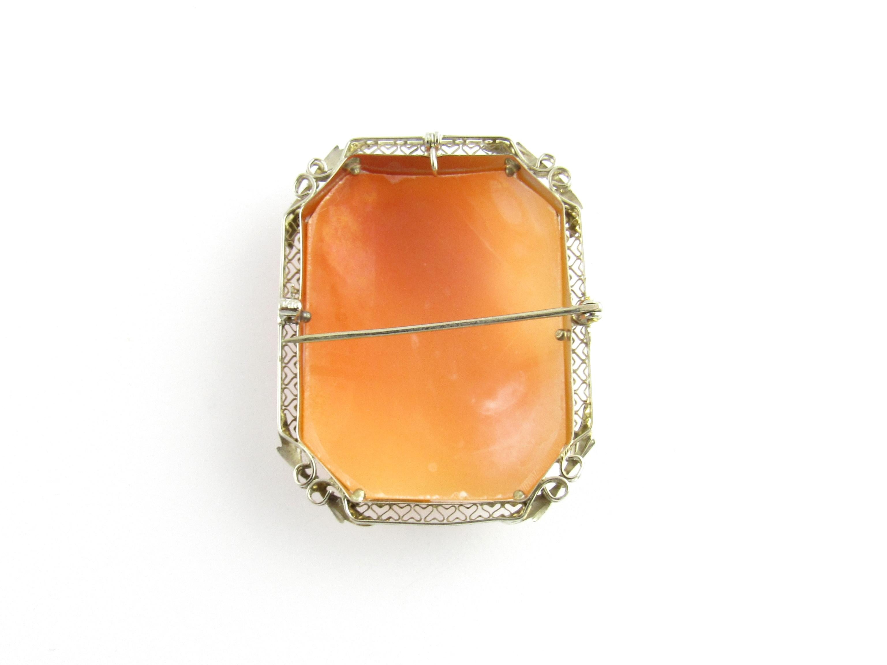 14 Karat White Gold Cameo Brooch or Pendant For Sale 1