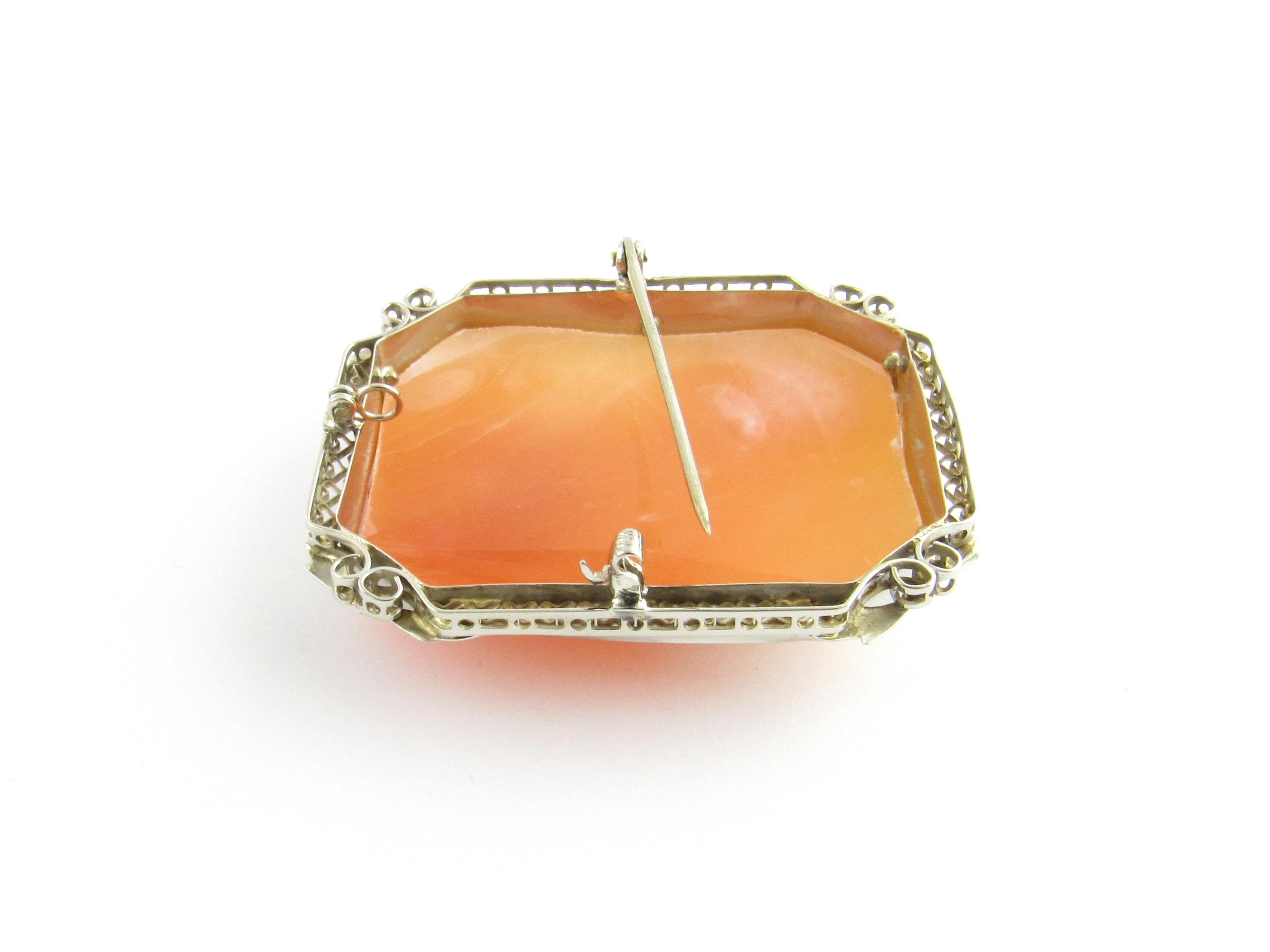 14 Karat White Gold Cameo Brooch or Pendant For Sale 2