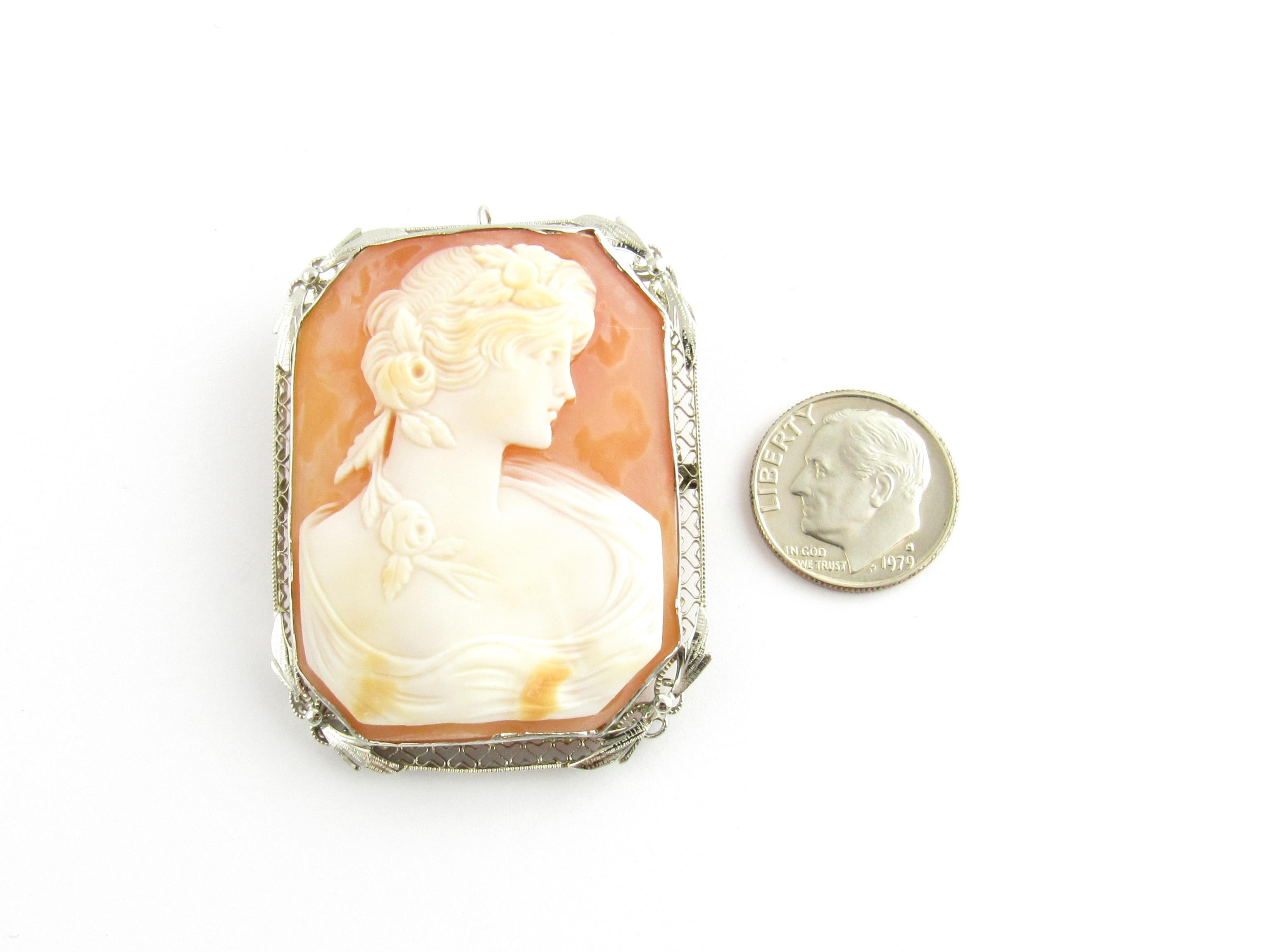 14 Karat White Gold Cameo Brooch or Pendant For Sale 4