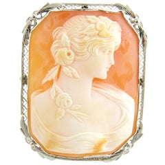 Vintage 14 Karat White Gold Cameo Brooch or Pendant