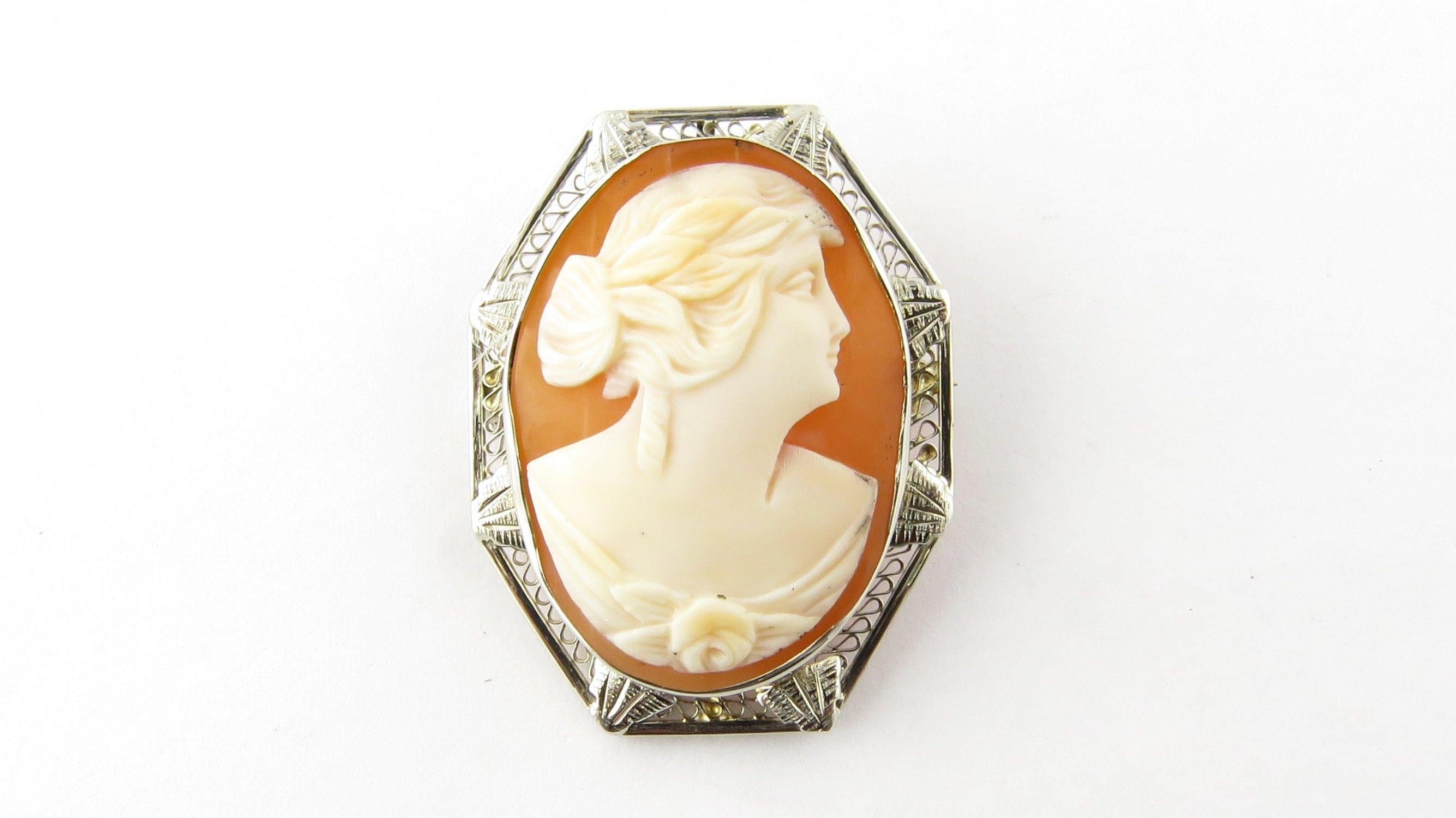 14 Karat White Gold Cameo Pendant or Brooch In Good Condition For Sale In Washington Depot, CT