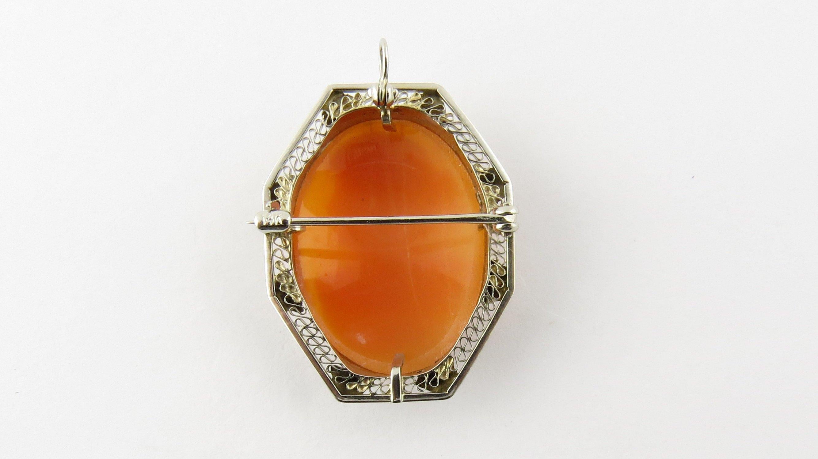 14 Karat White Gold Cameo Pendant or Brooch For Sale 2