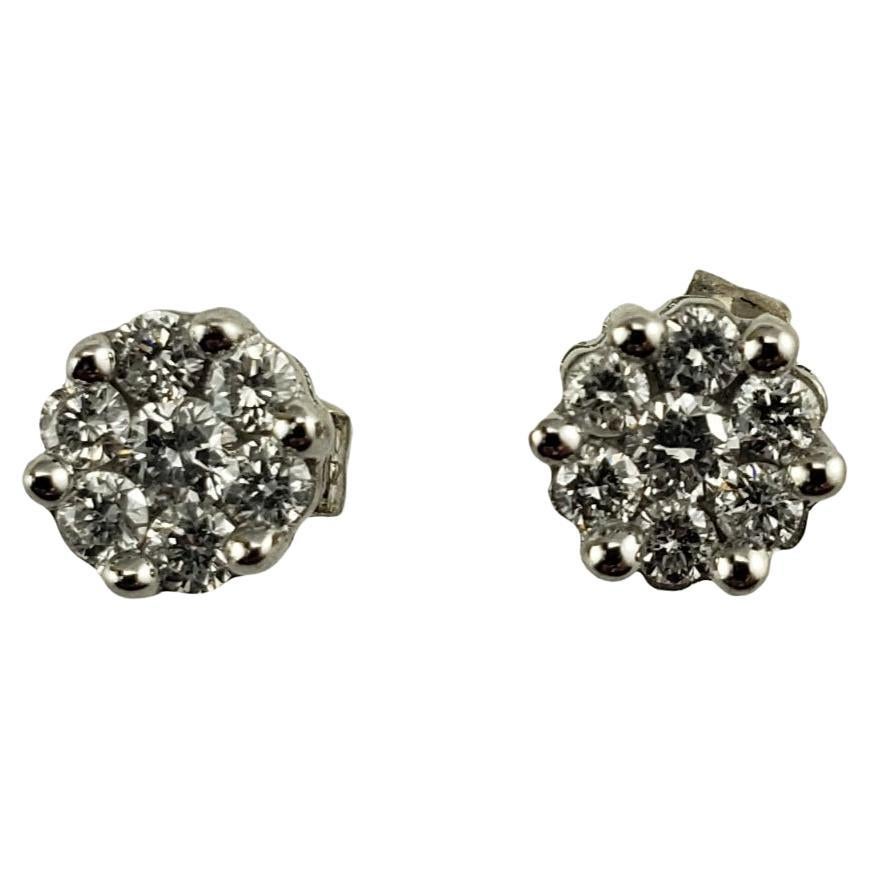 14 Karat White Gold Diamond Cluster Stud Earrings