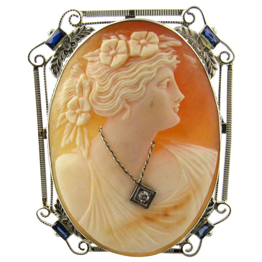 14 Karat White Gold Diamond Synthetic Sapphire Cameo Brooch Pendant