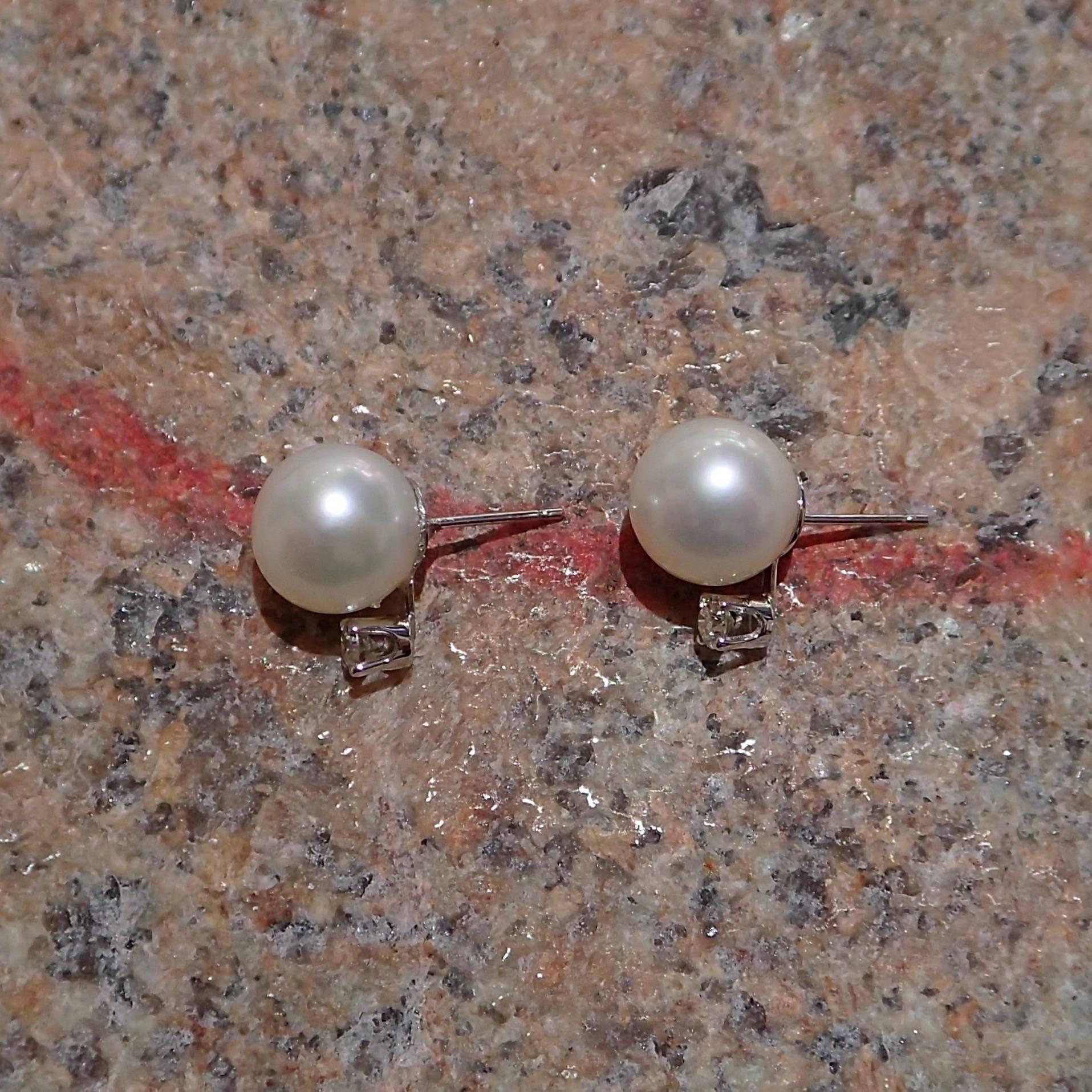 Round Cut 14 Karat White Gold Earrings with Fresh Water Pearls and 0.20 Carat of Diamond For Sale