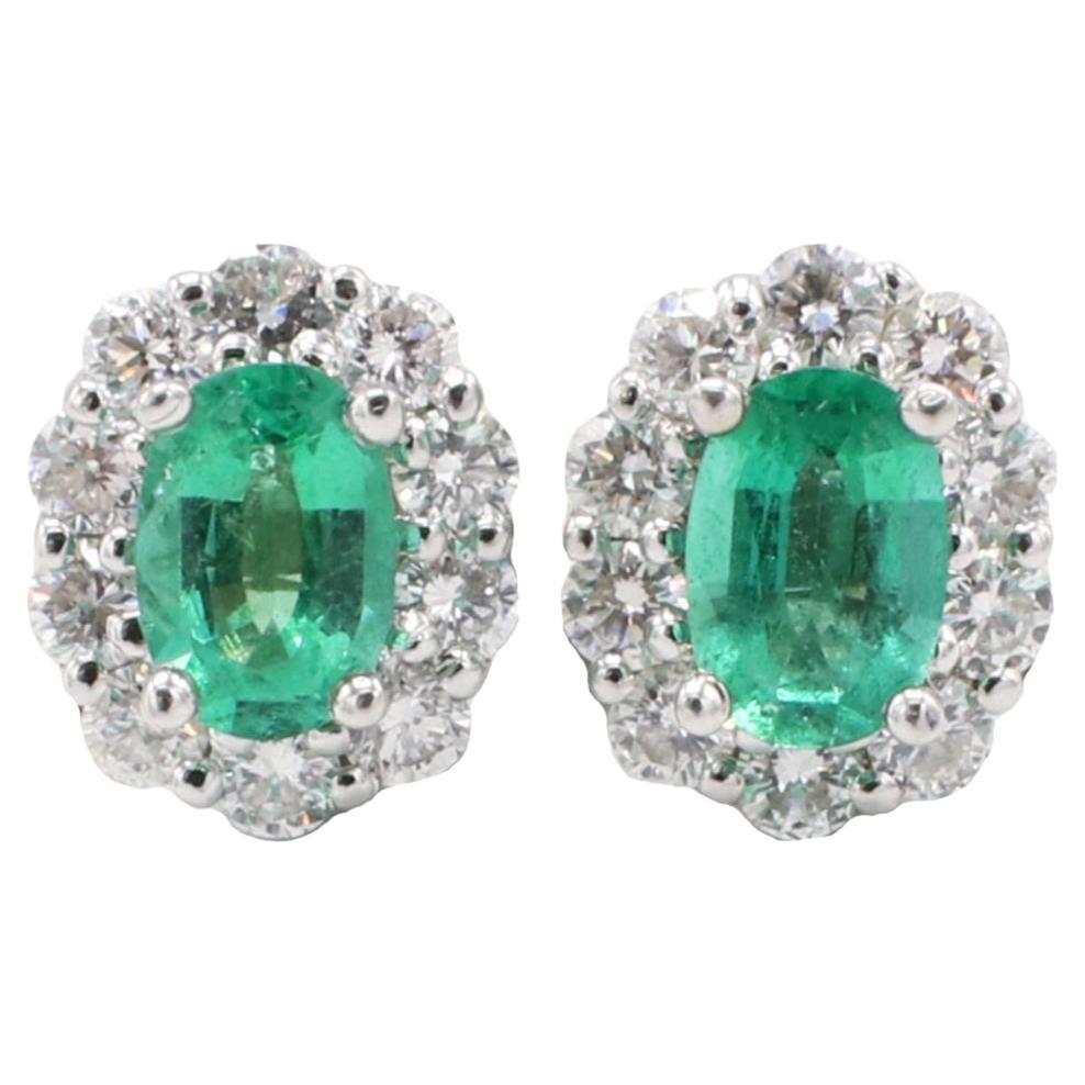 14 Karat White Gold Emerald and Natural Diamond Halo Stud Earrings  For Sale