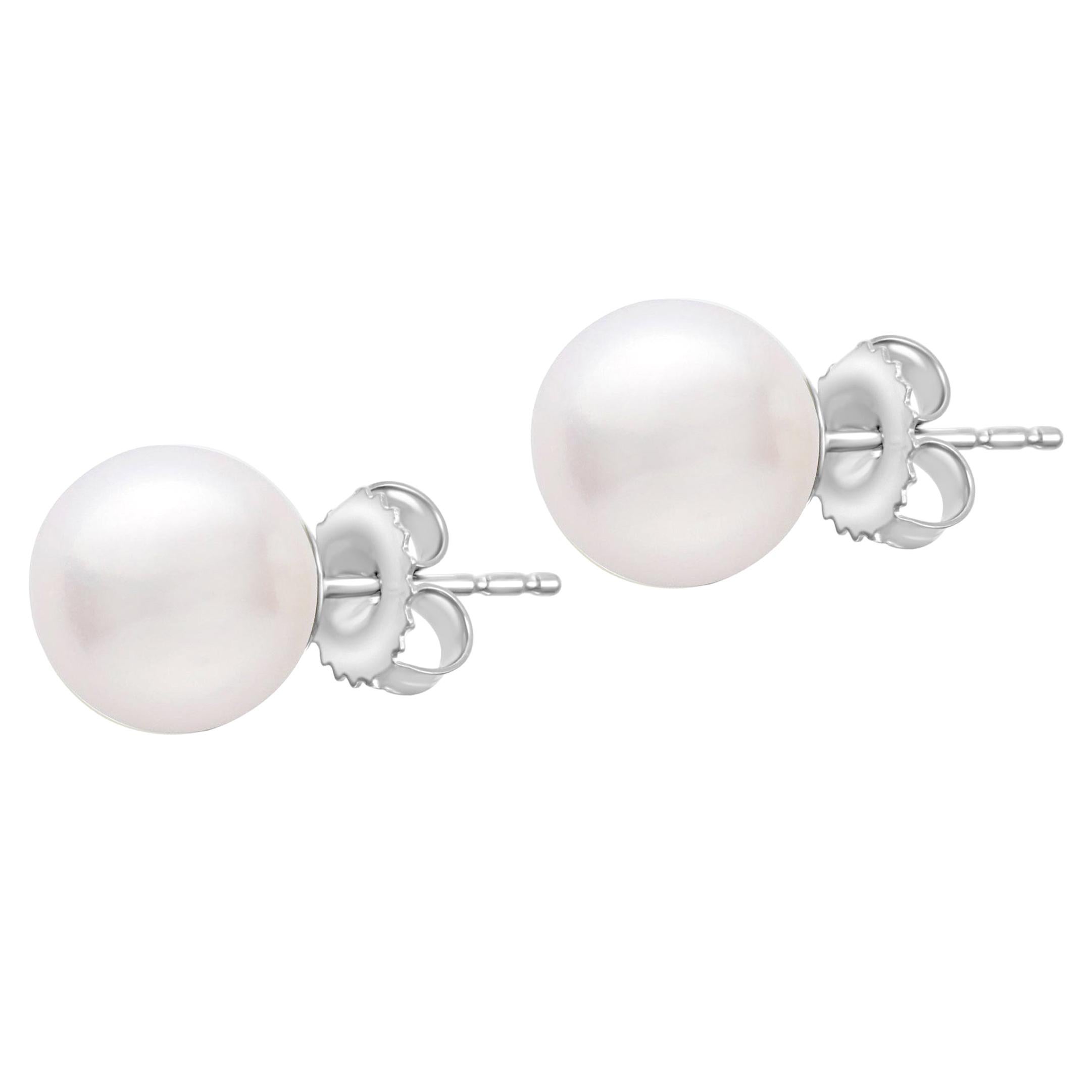Jewel Tie 14k White Gold 9-10mm Black Button FW Cultured Pearl Stud Earrings