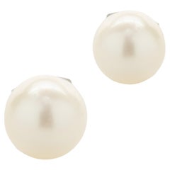 14 Karat White Gold Freshwater Pearl Stud Earrings