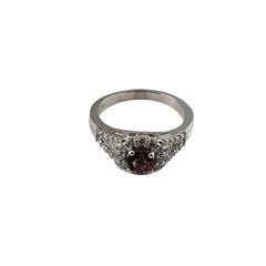 14 Karat White Gold Garnet and Diamond Ring
