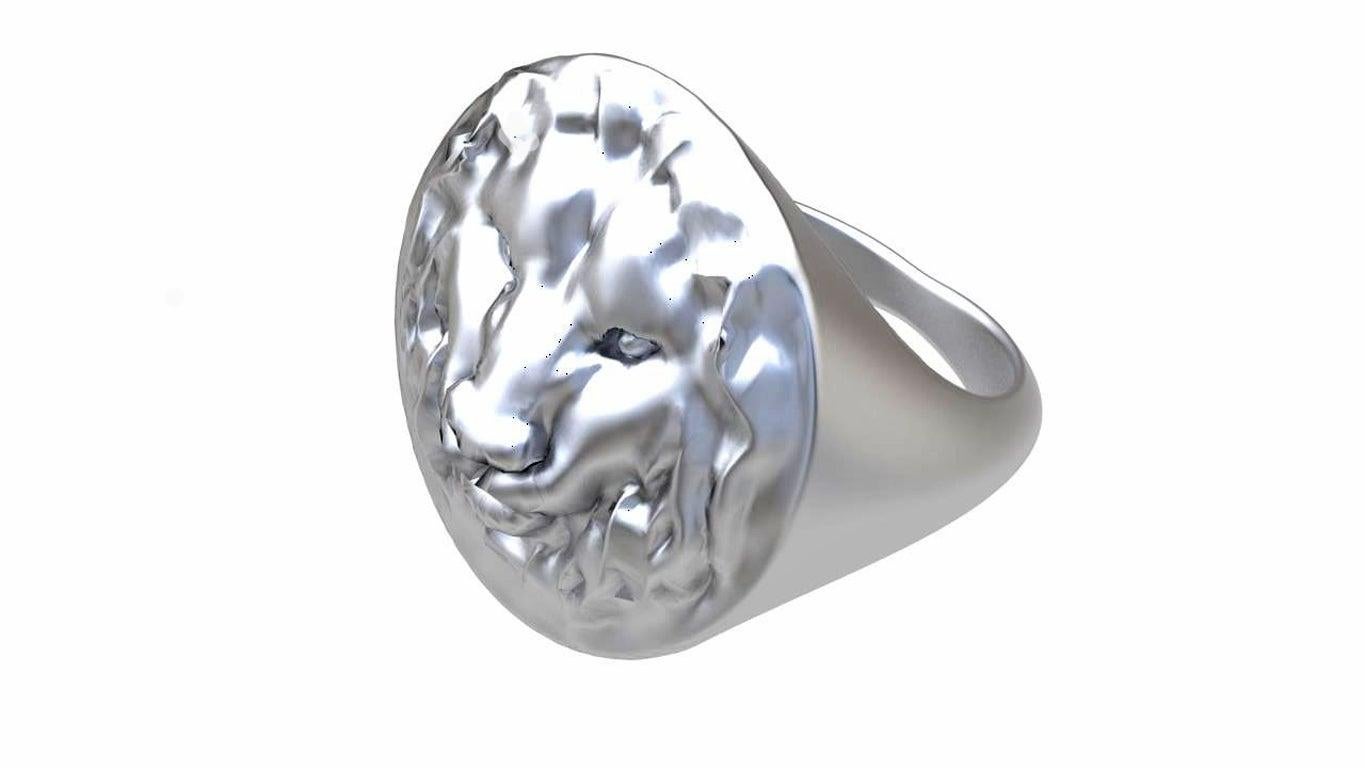 For Sale:  14 Karat White Gold Lion of Judah Signet Ring 2