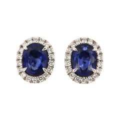 14 Karat White Gold Oval Blue Sapphire and Diamonds Halo Earrings '3 Carat'
