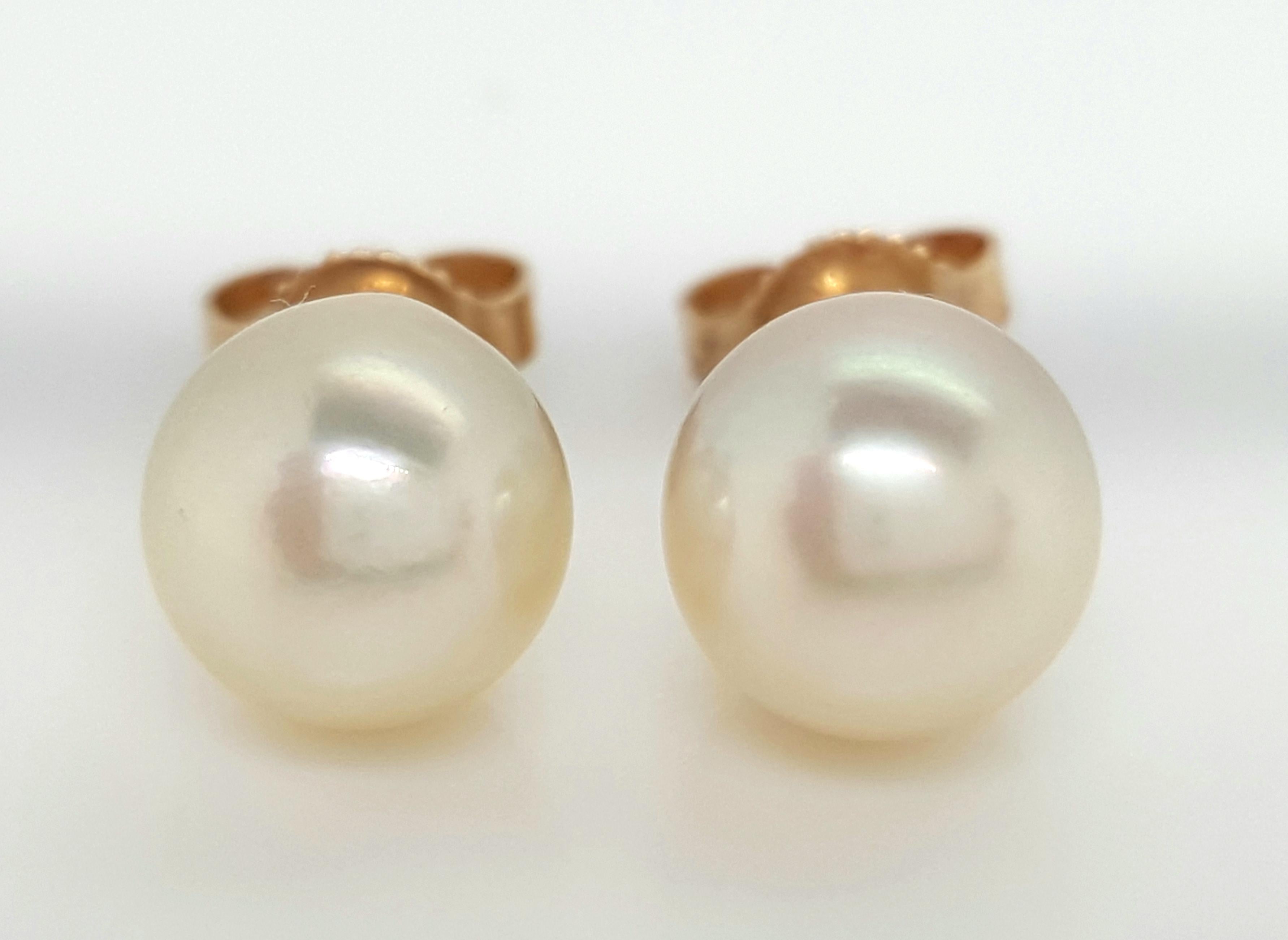 Women's or Men's 14 Karat Yellow Gold Cultured Akoya Pearl Earrings For Sale