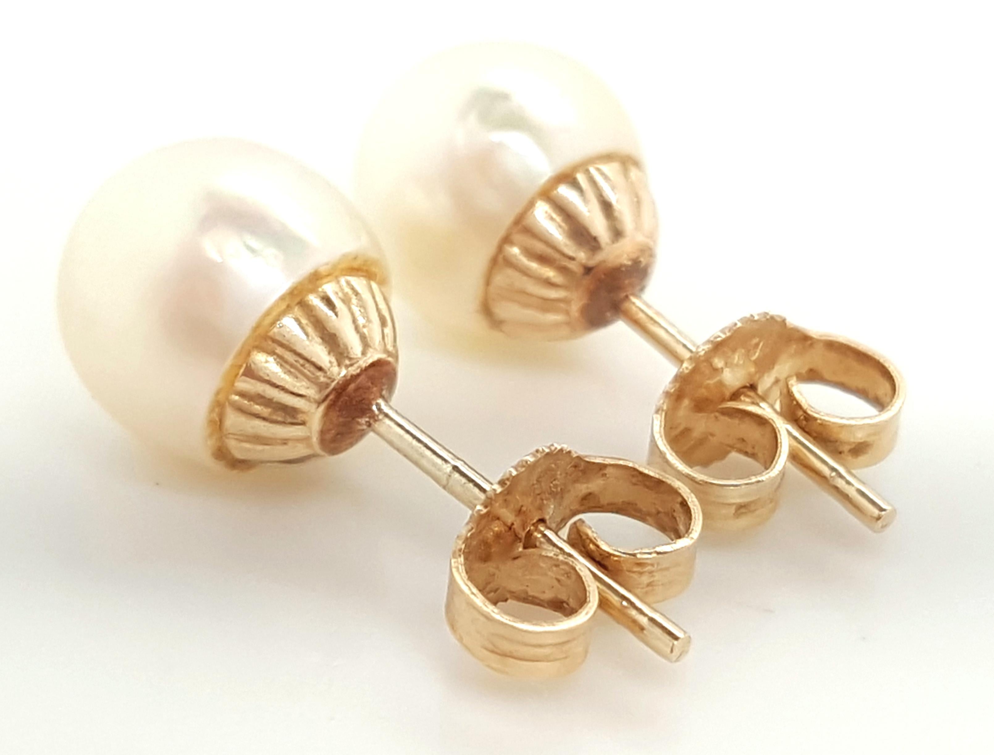 14 Karat Yellow Gold Cultured Akoya Pearl Earrings For Sale 2