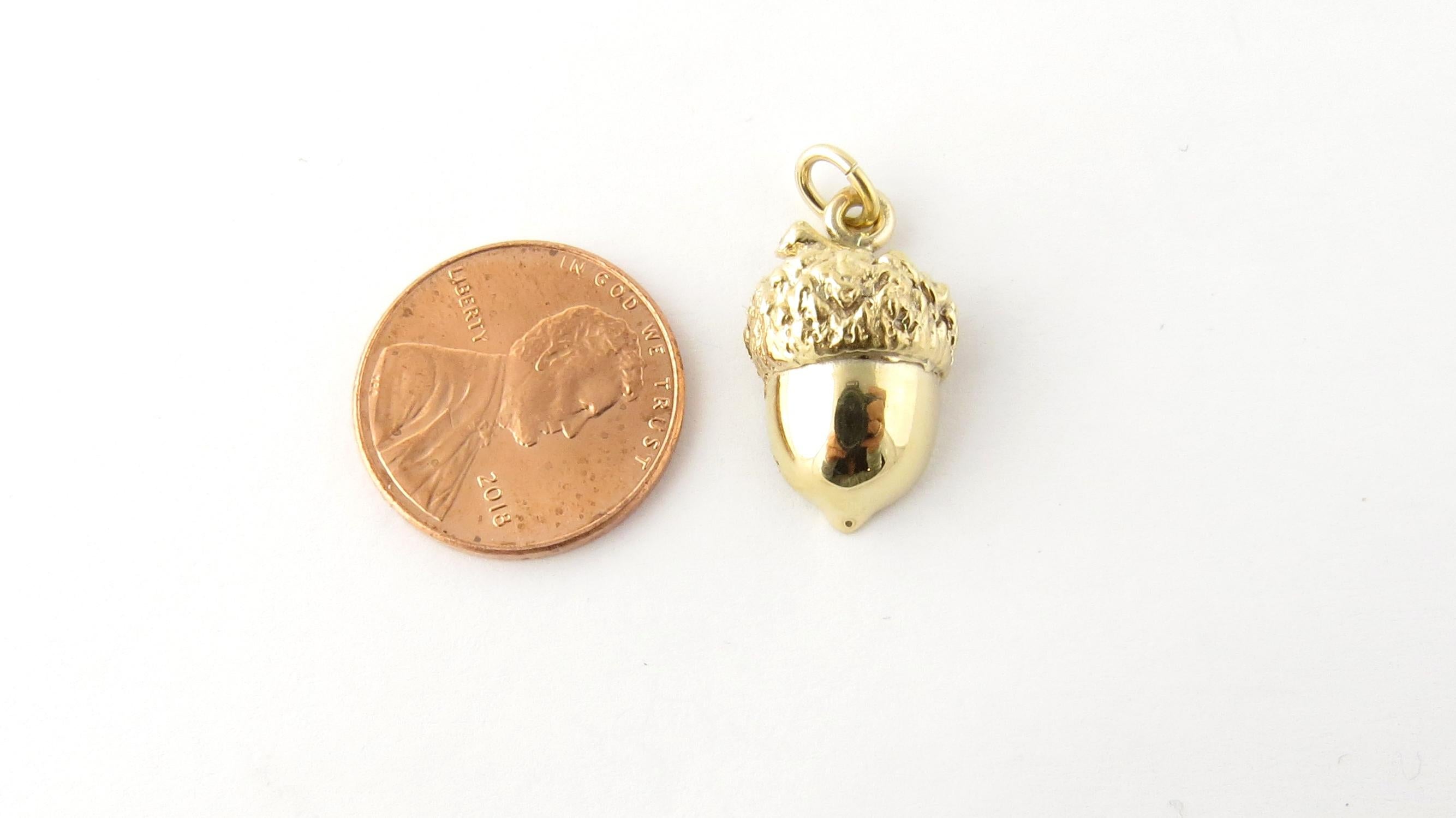 Vintage 14 Karat Yellow Gold Acorn Charm

