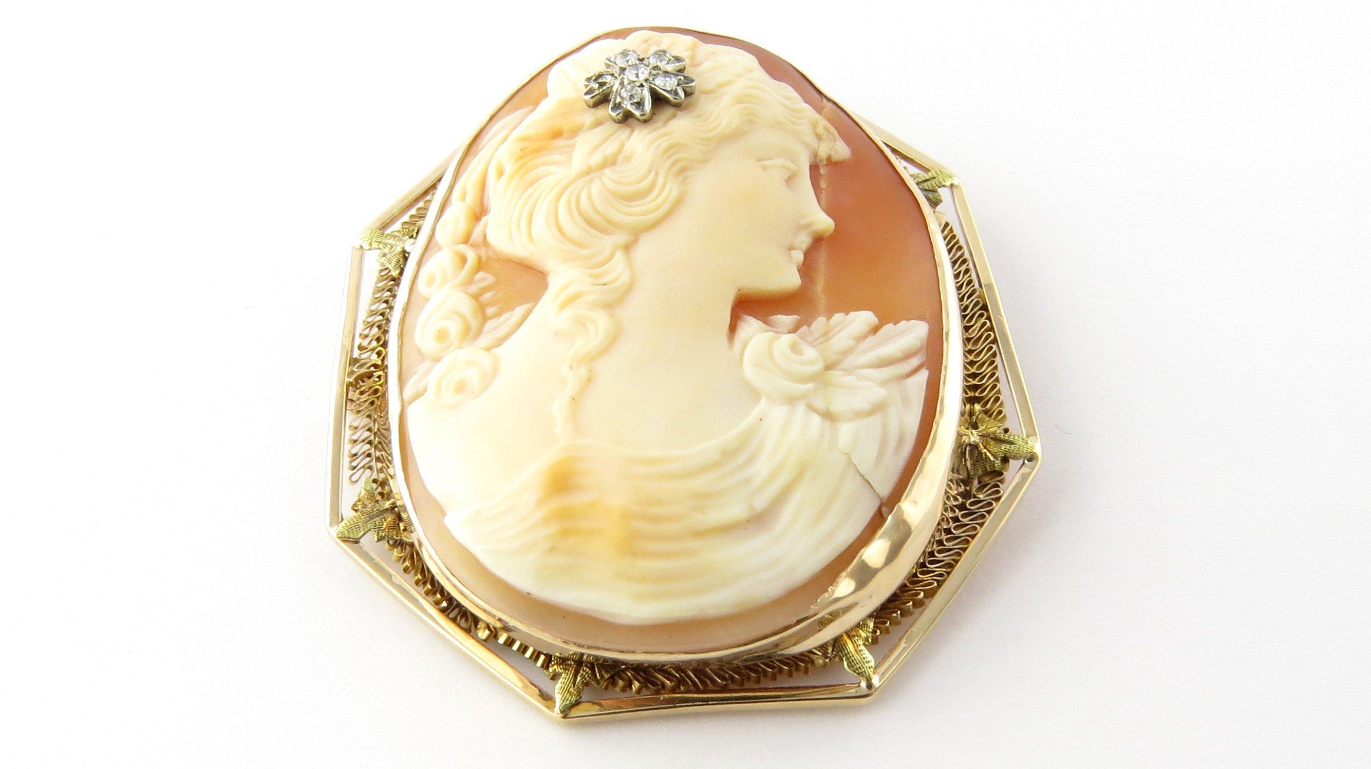Vintage 14 Karat Yellow Gold and Diamond Cameo Brooch/Pendant-

This stunning cameo features a lovely lady in profile adorned with five single cut diamonds and one rose cut diamond in her hair. Framed in delicate 14K yellow gold filigree. Can be
