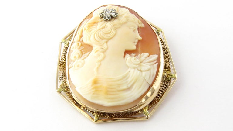 14 Karat Yellow Gold and Diamond Cameo Brooch or Pendant For Sale at ...
