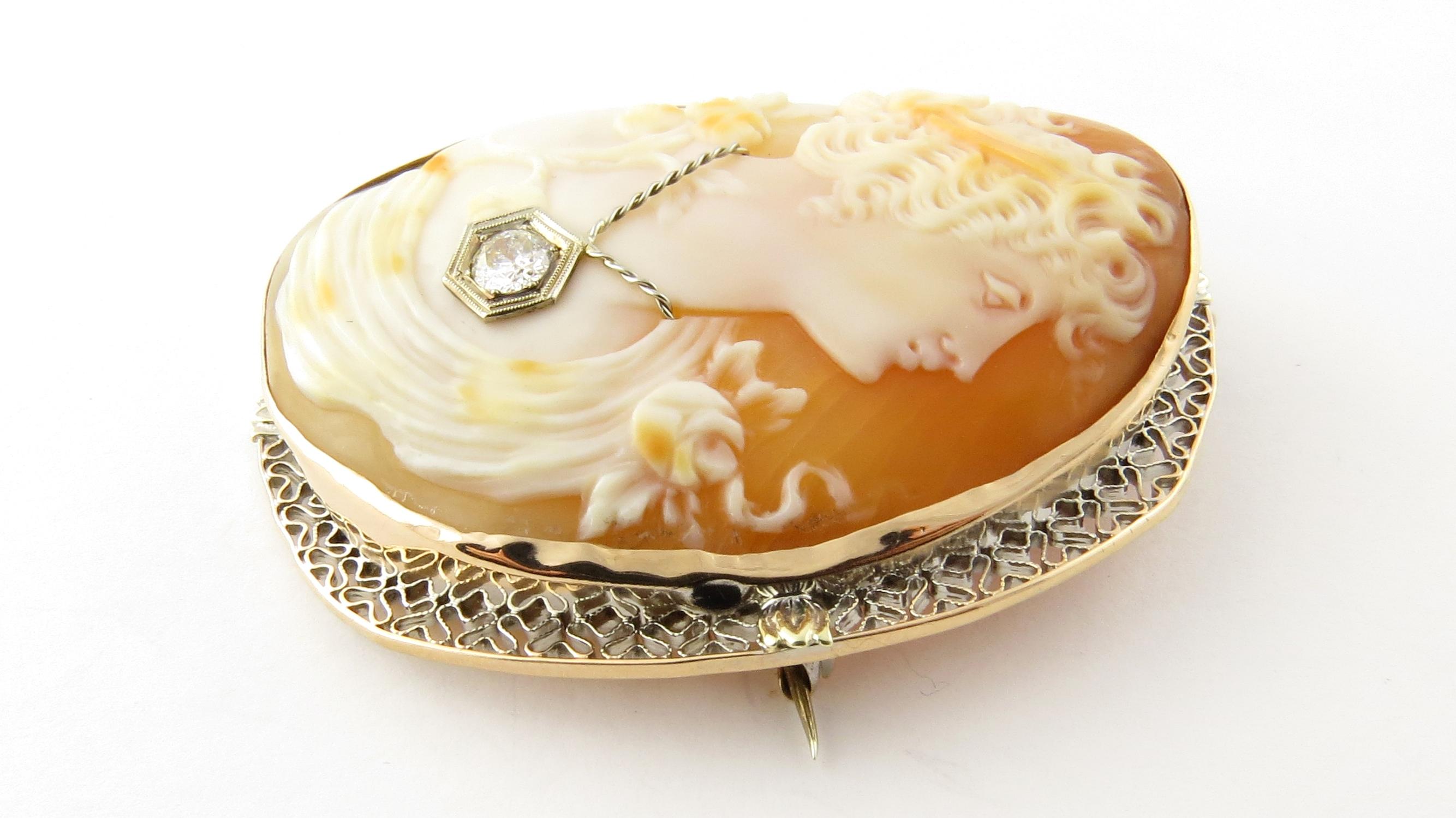 Vintage 14 Karat Yellow Gold and Diamond Cameo Brooch/Pendant

This stunning cameo features a lovely lady in profile accented with one round European cut diamond framed in delicate 14K yellow gold filigree. Can be worn as a brooch or a
