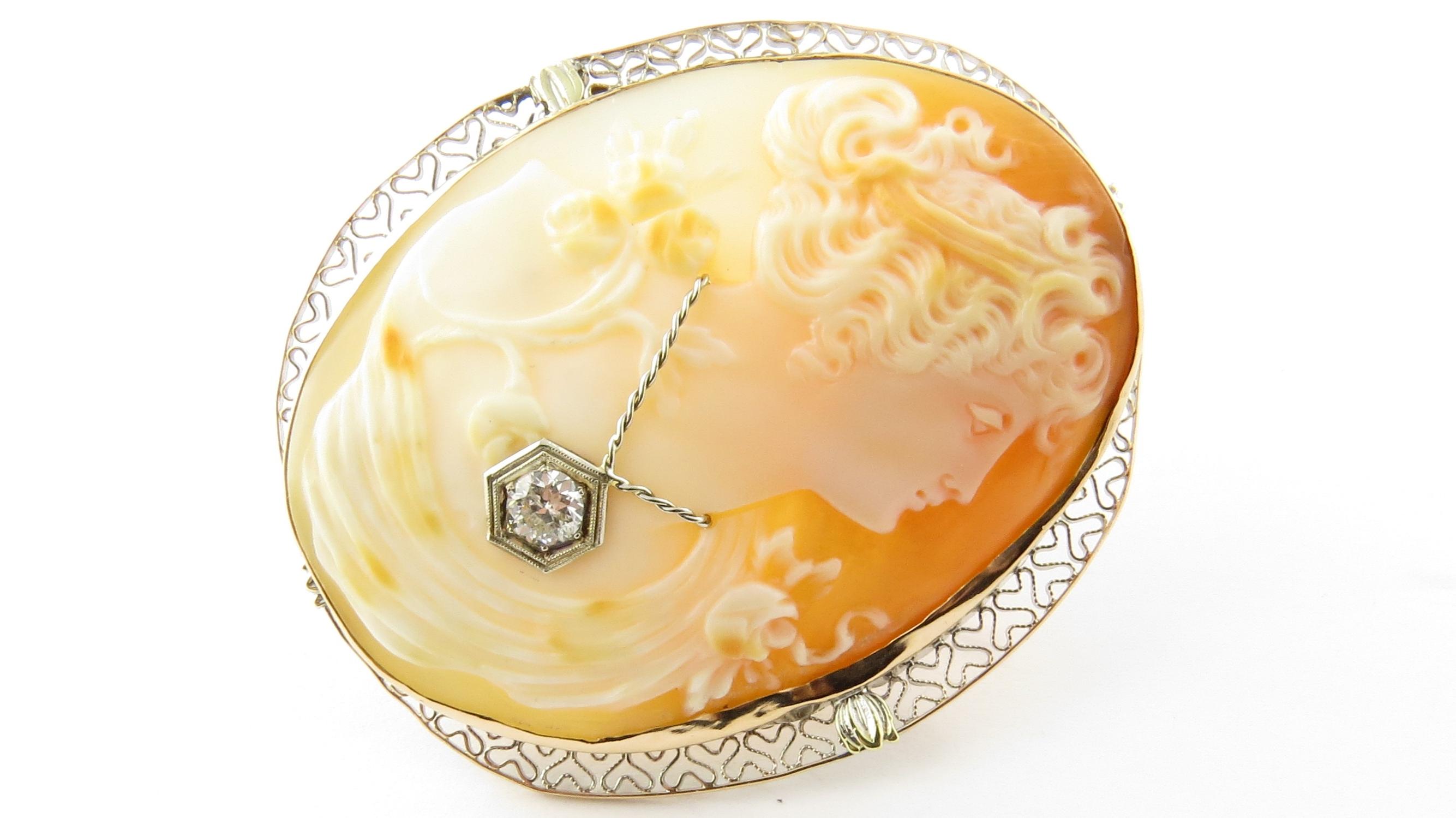14 Karat Yellow Gold and Diamond Cameo Brooch / Pendant For Sale 1