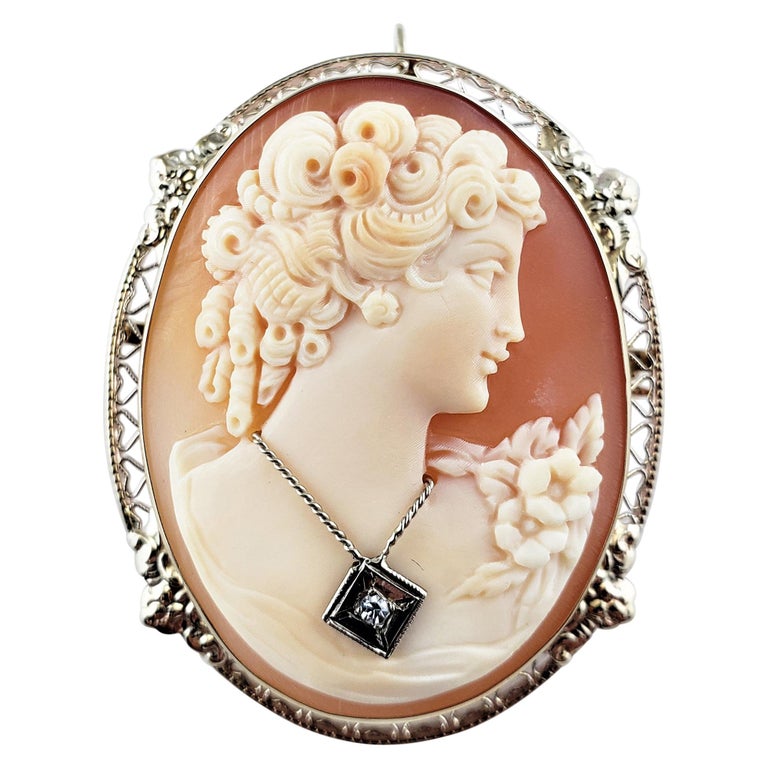 14 Karat Yellow Gold and Diamond Cameo Brooch/Pendant at 1stDibs