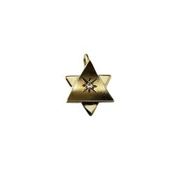 14 Karat Yellow Gold and Diamond Star of David Pendant #21679