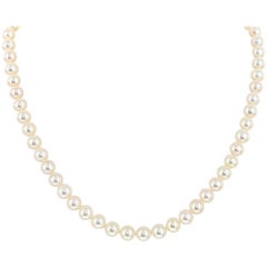 14 Karat Yellow Gold and Freshwater Cultured 8-8.5mm Pearl Necklace