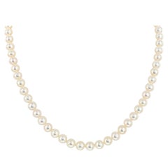 Collana in oro giallo 14 carati e perle d'acqua dolce coltivate da 6 a 6,5 mm