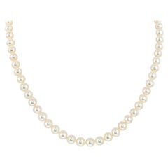 Collar de oro amarillo de 14 quilates y perlas cultivadas de agua dulce de 7-7,5 mm