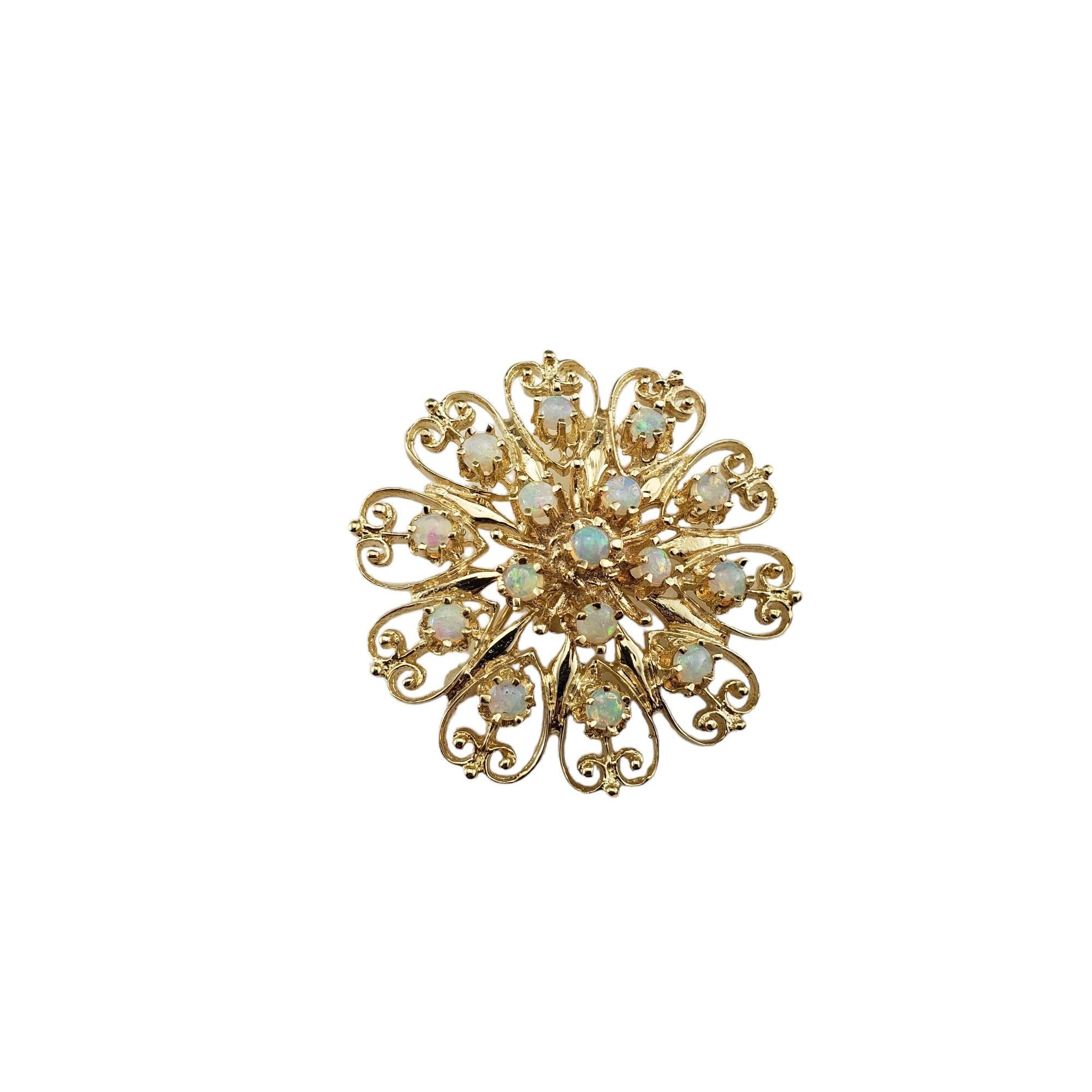 Vintage 14 Karat Yellow Gold and Opal Brooch/Pendant-

This elegant brooch features 16 round opal gemstones set in beautifully detailed 14K yellow gold.  Can be worn as a brooch or a pendant.  

Matching earrings: #16739

Size: 38 mm

Stamped: