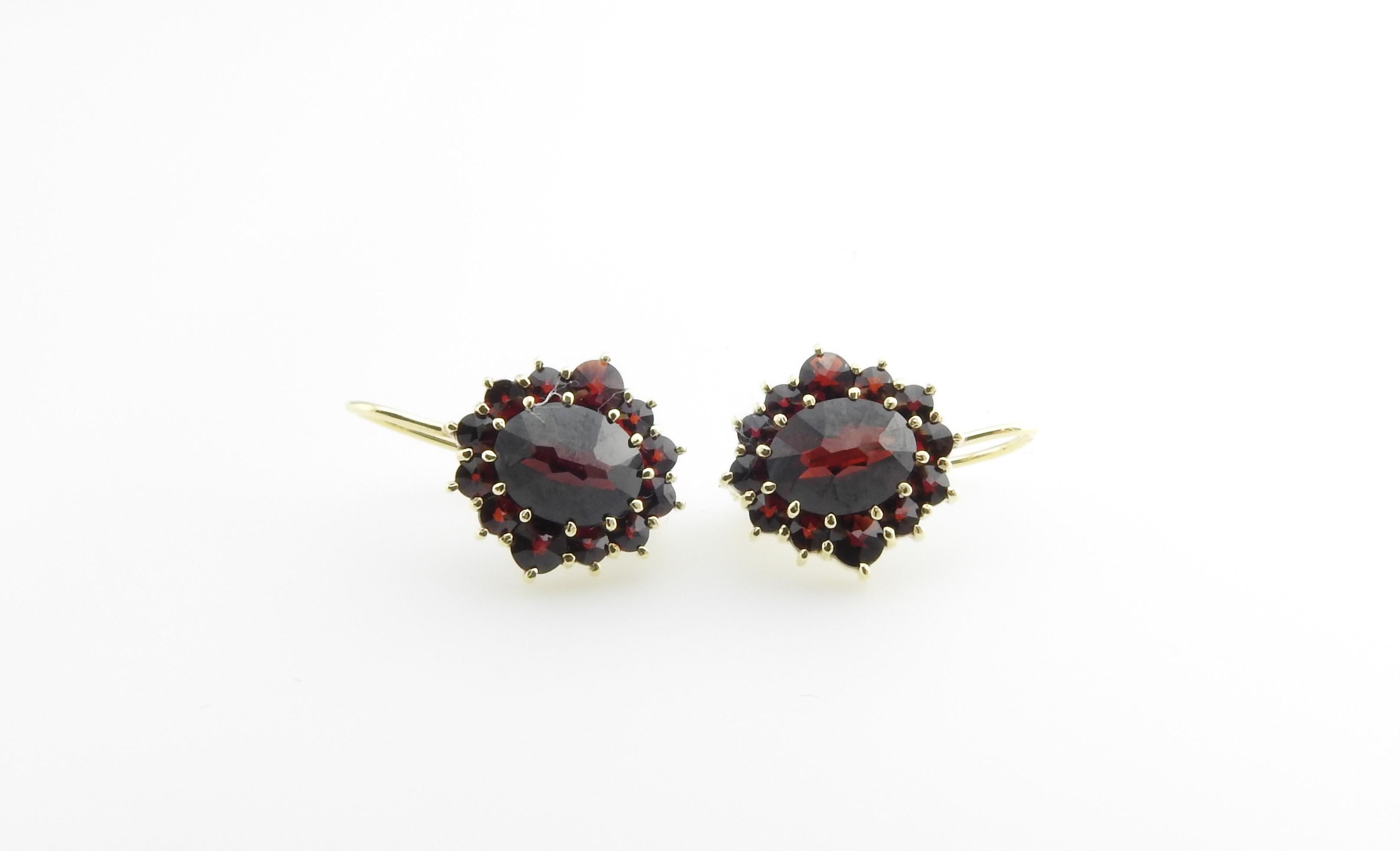 Vintage 14 Karat Yellow Gold and Simulated Garnet Earrings

These lovely earrings each feature 13 simulated garnets set in elegant 14K yellow gold. Hinged closures.

Size: 14 mm x mm

Weight: 4.8 g

Stamped: 585

Very good condition, professionally