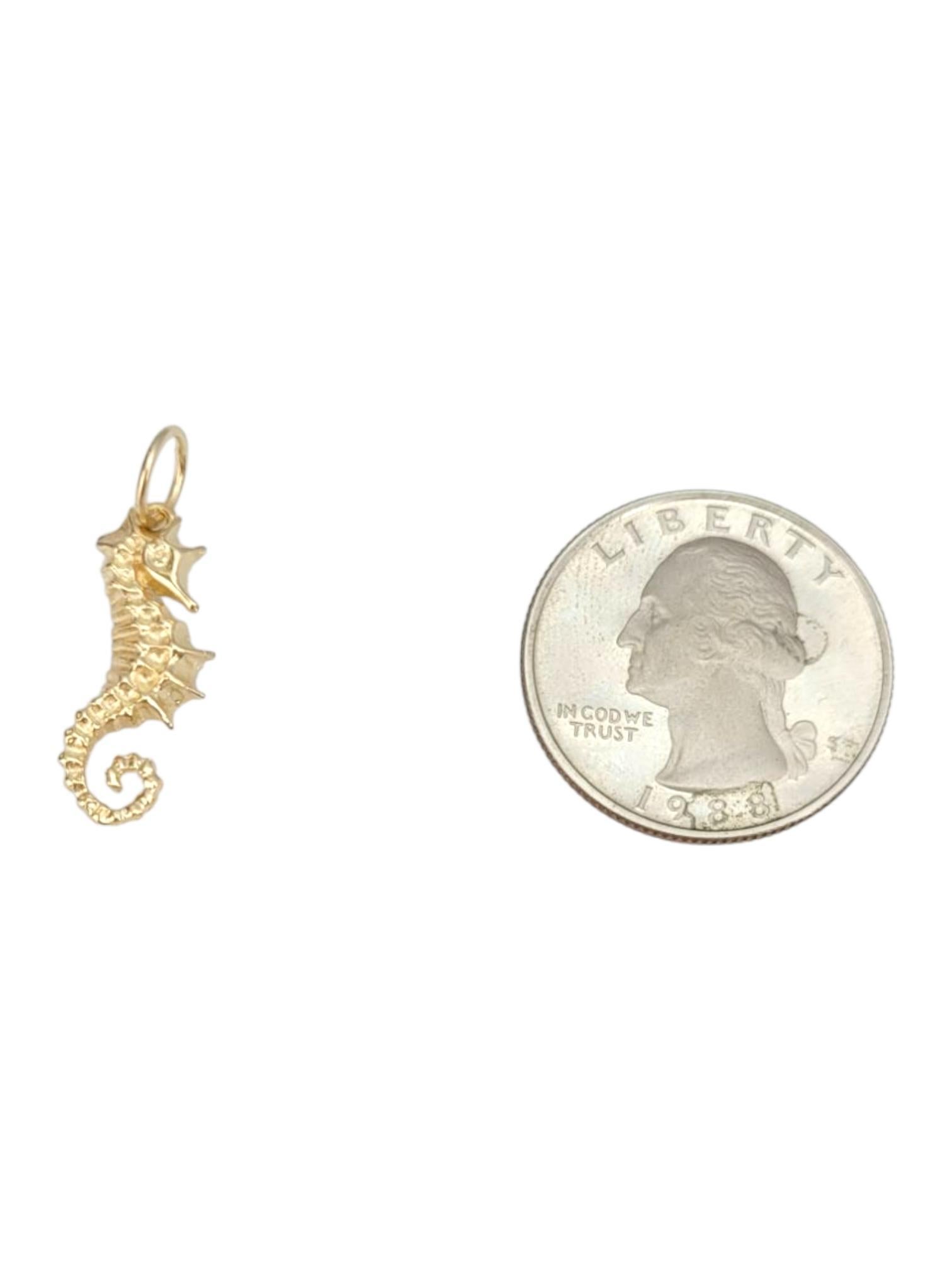 14 Karat Yellow Gold Bahamas Sea Horse Charm #21659 im Angebot 2