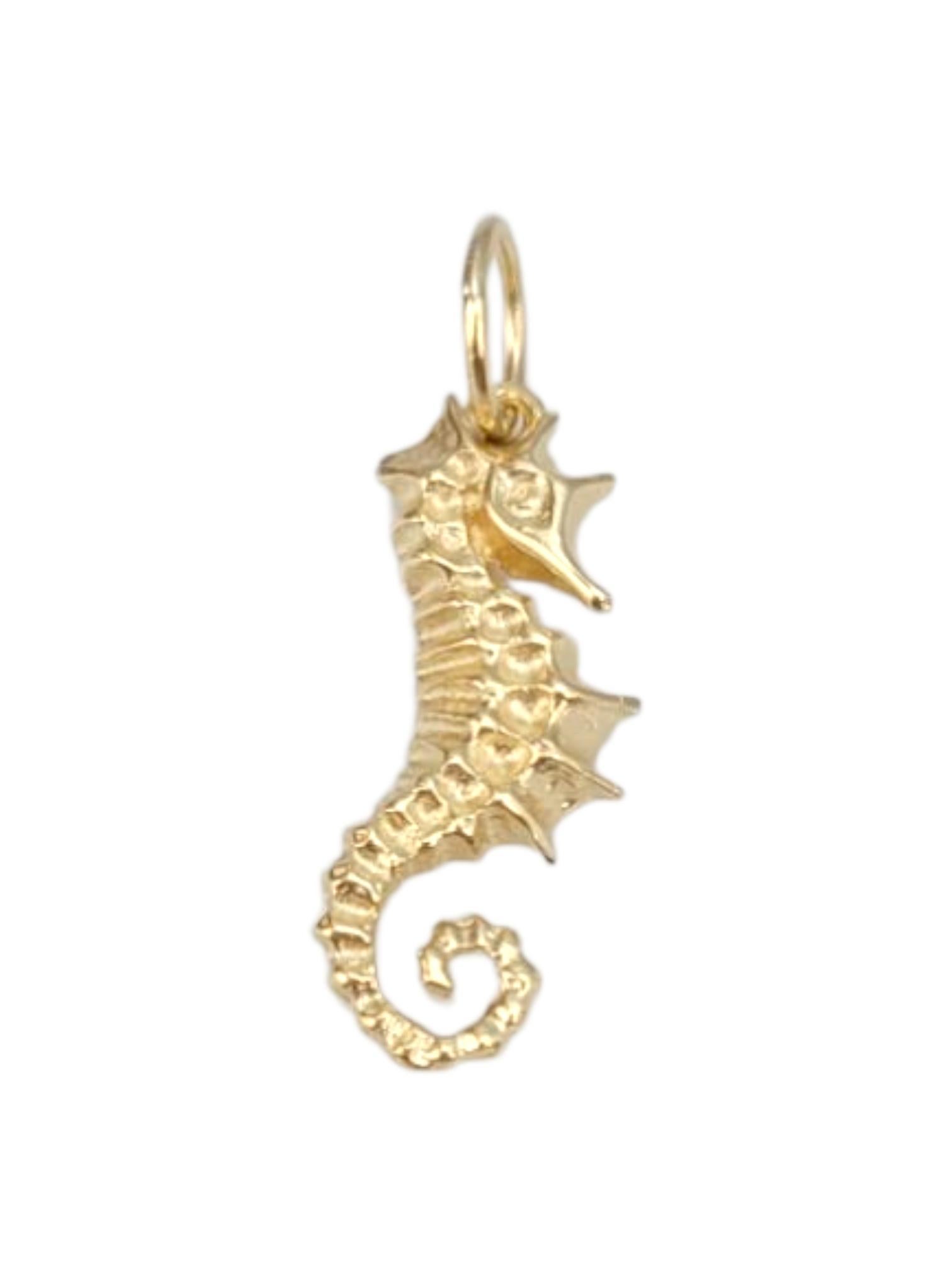 14 Karat Yellow Gold Bahamas Sea Horse Charm #21659 im Angebot 4
