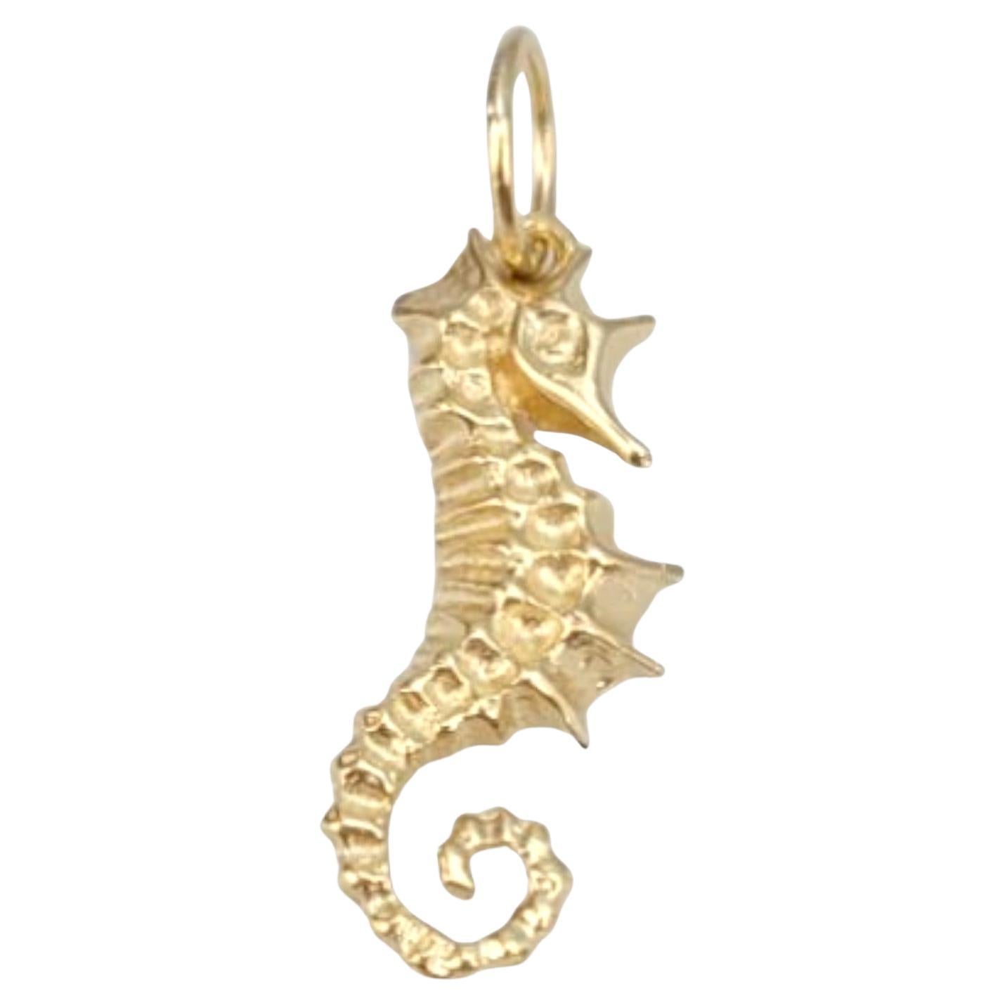 14 Karat Yellow Gold Bahamas Sea Horse Charm #21659