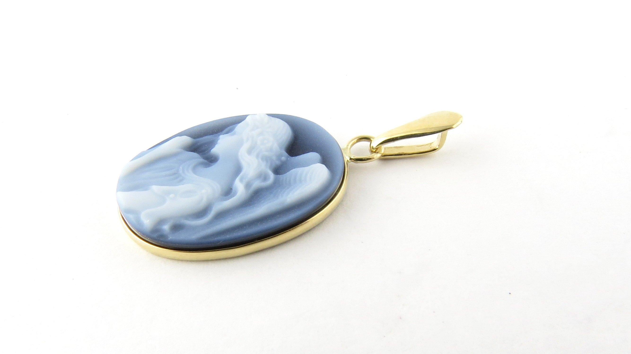 Vintage 14 Karat Yellow Gold Blue Agate Guardian Angel Charm-

This lovely blue agate cameo pendant features an ethereal angel framed in classic 14K yellow gold.

Size: 22 mm x 13 mm

Weight: 0.9 dwt. / 1.5 gr.

Hallmark: 14K

Very good condition,