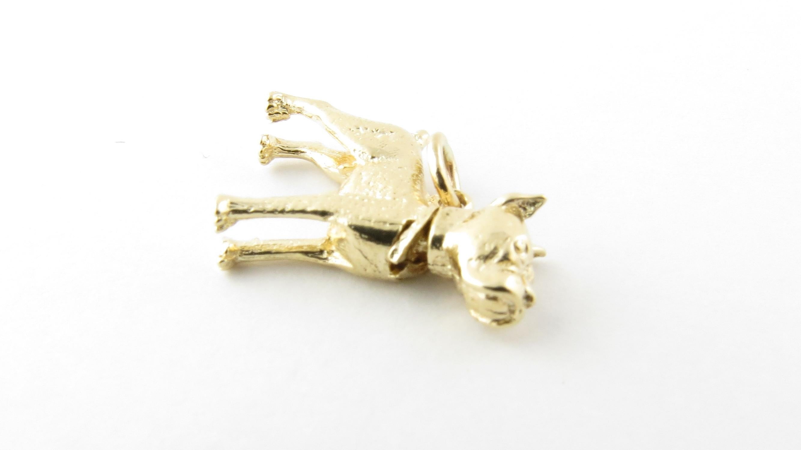 Women's 14 Karat Yellow Gold Bobble Head Dog Charm