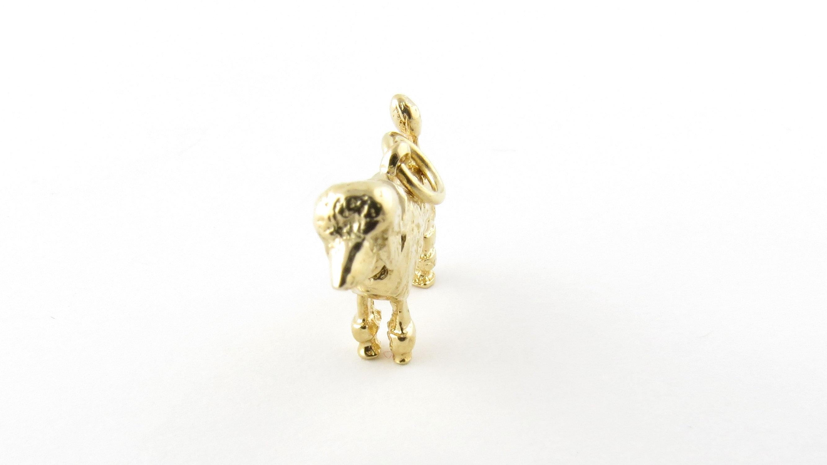 14 Karat Yellow Gold Bobble Head Poodle Charm 2