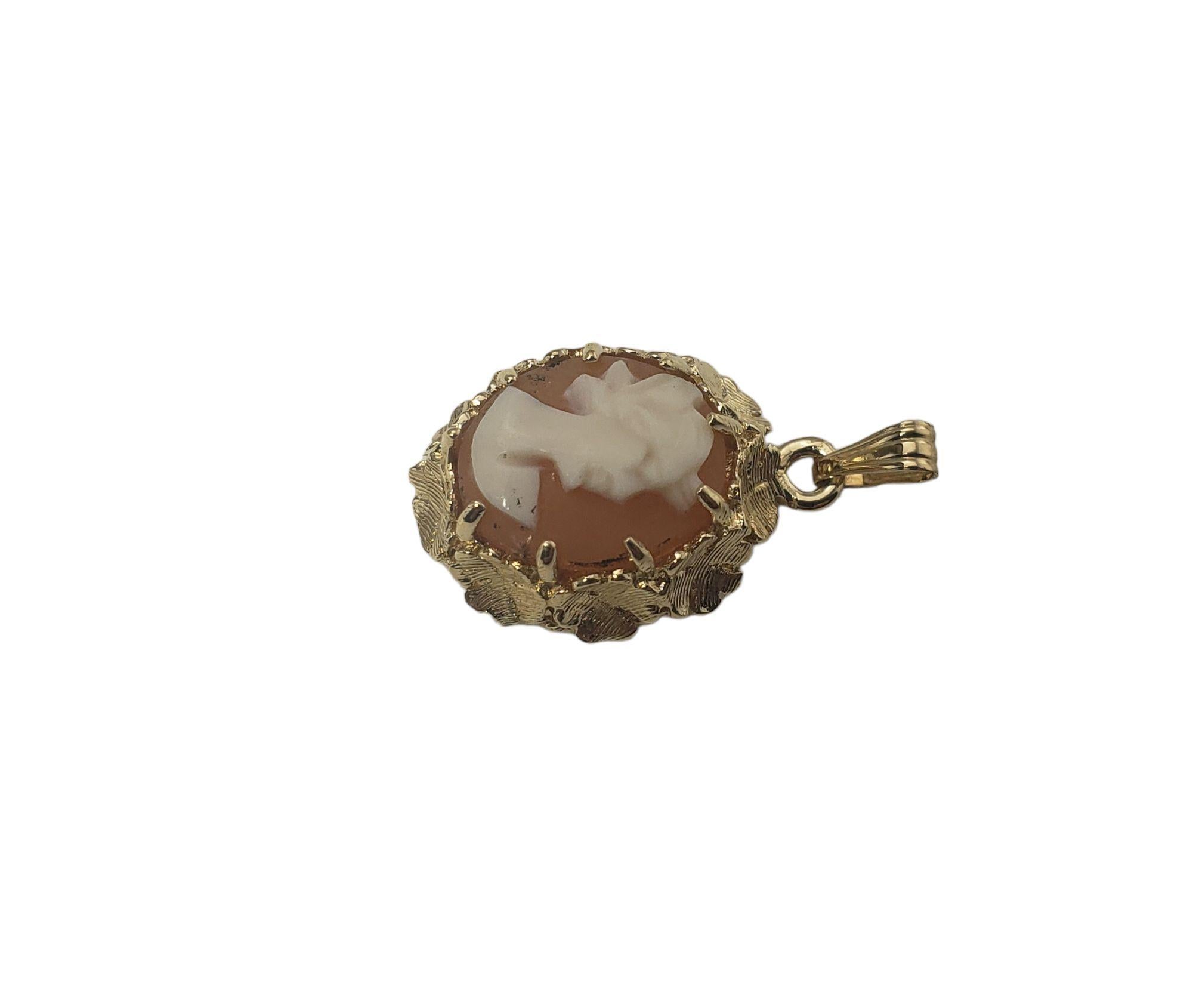 This elegant cameo features a lovely lady in profile set in classic 14K yellow gold.  Can be worn as a brooch or a pendant.

Size:  20 mm x 14 mm

Weight: 1.6 dwt. / 2.6 gr.

Tested 14K gold.

Very good condition, professionally polished.

*Chain