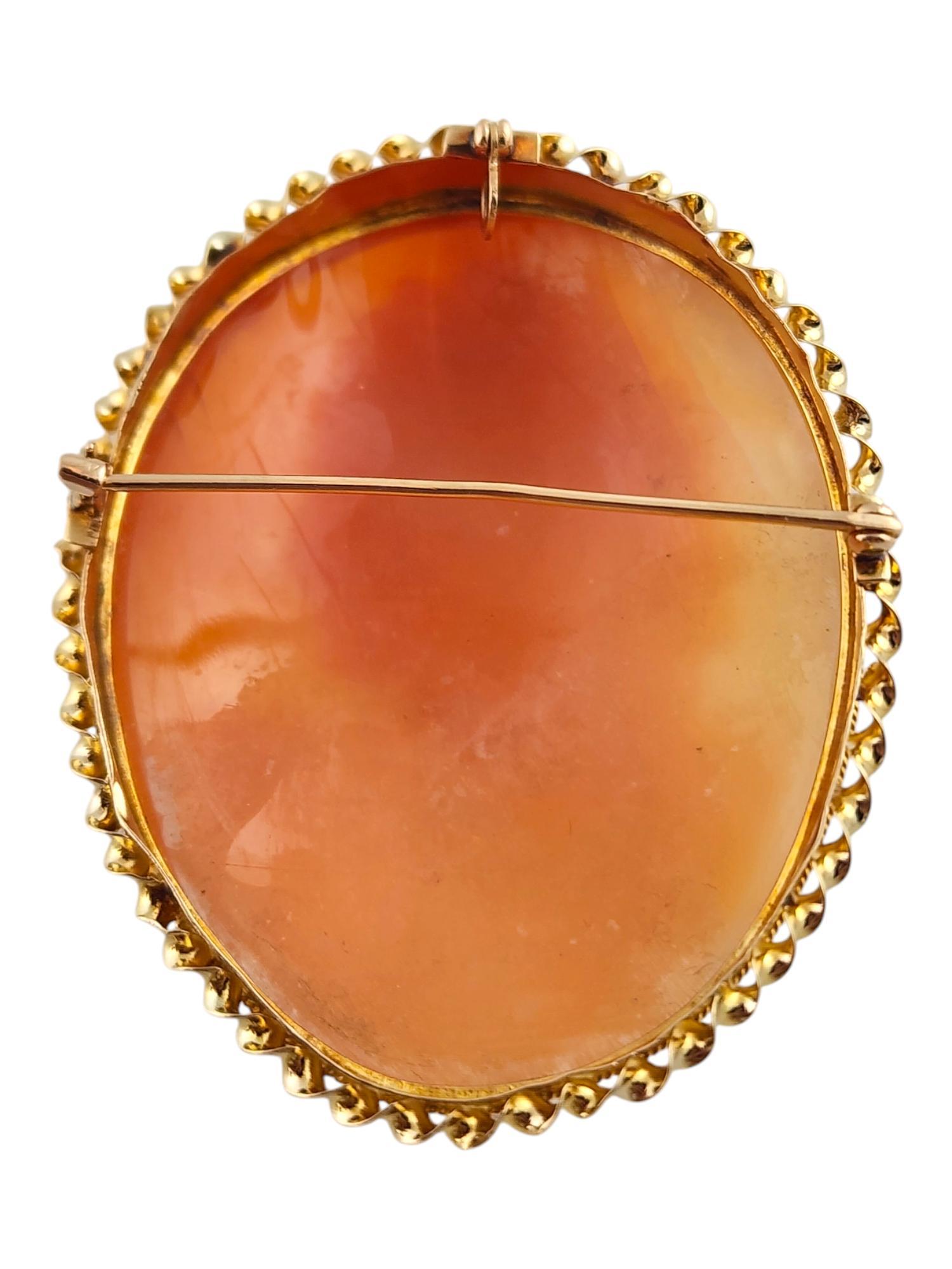 Women's 14 Karat Yellow Gold Cameo Brooch/Pendant #19797 For Sale